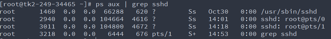 sshd 正常账号密码登录进程列表