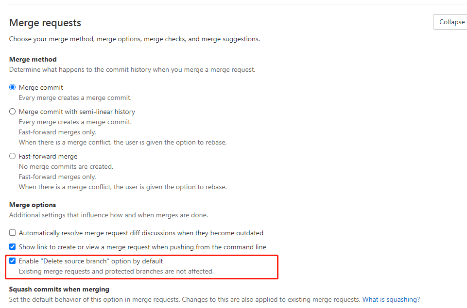 默认删除源分支的选项